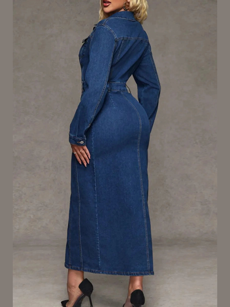 The Denim Authority Dress